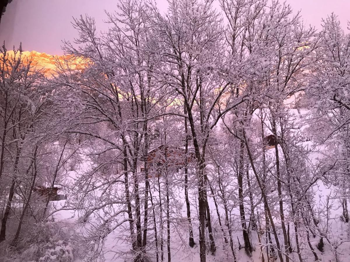 Magnifique T3 Entre Lac Et Montagne Pres D'Annecy Montmin Экстерьер фото